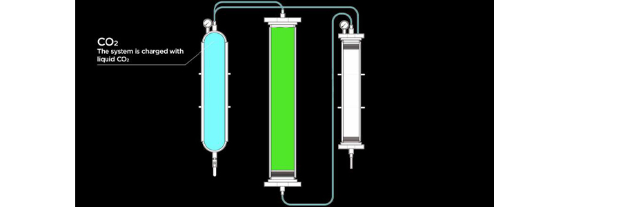 cbd extraction