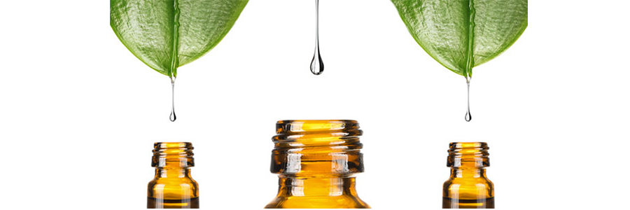 cbd extraction