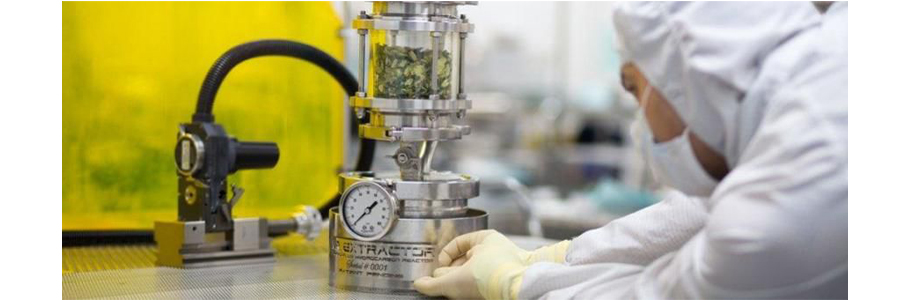 cbd extraction