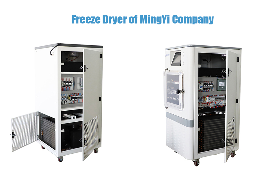 freeze dryer