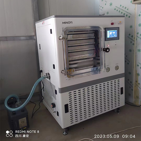 NEL-50F Lyophilizer Installed For Customer Freeze Dry Cordyceps sinensis
